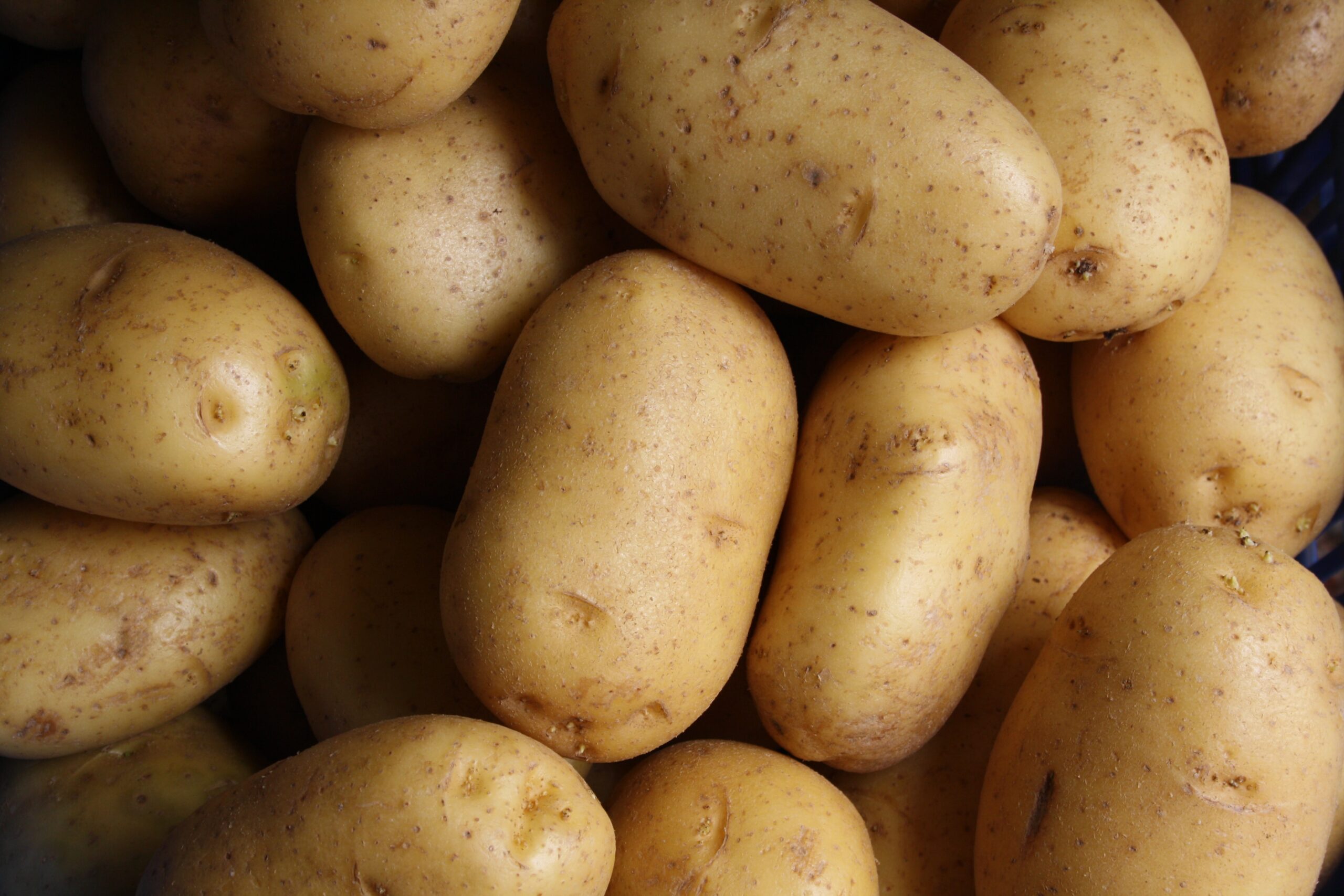 potatoes1 potatoes