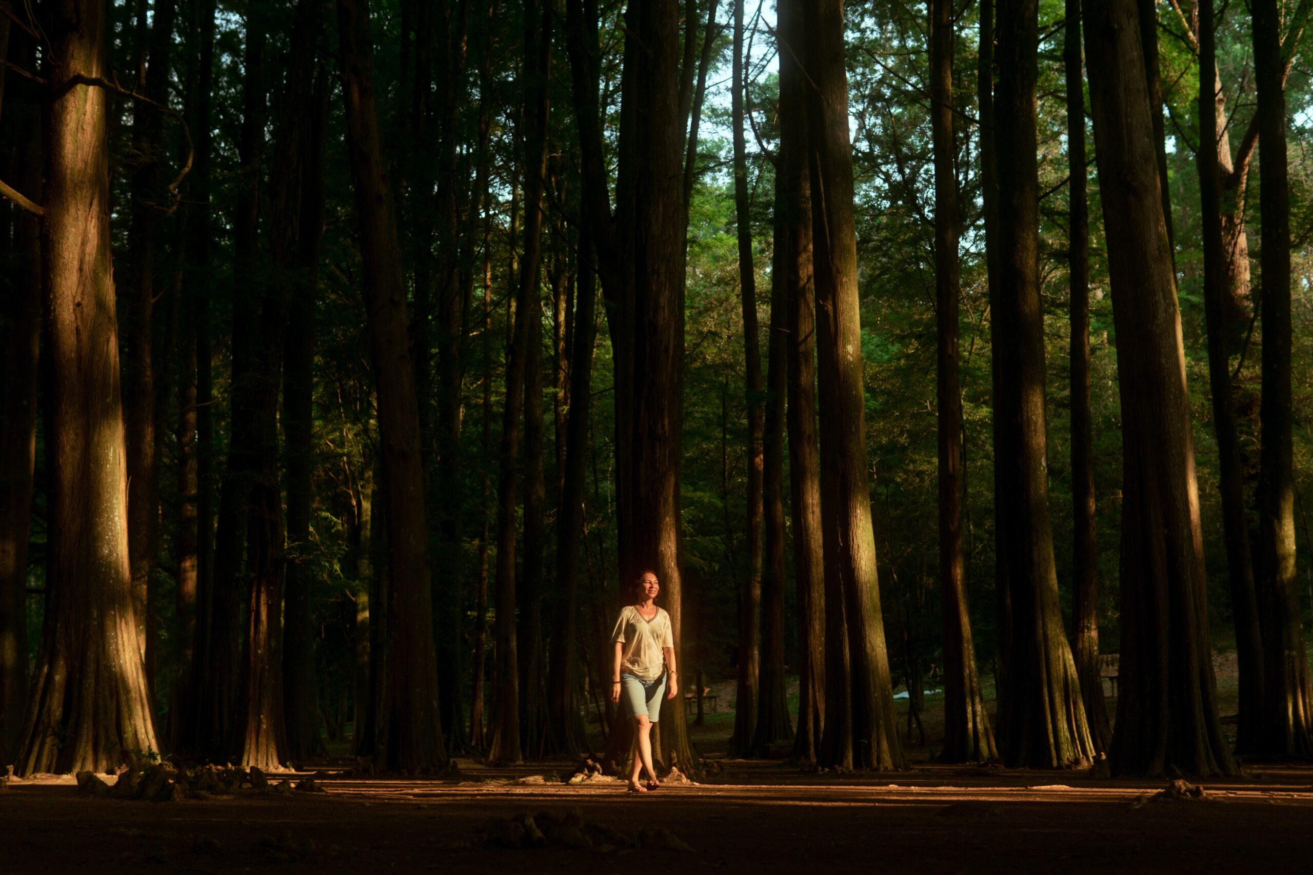 tree2 a woman in a forest