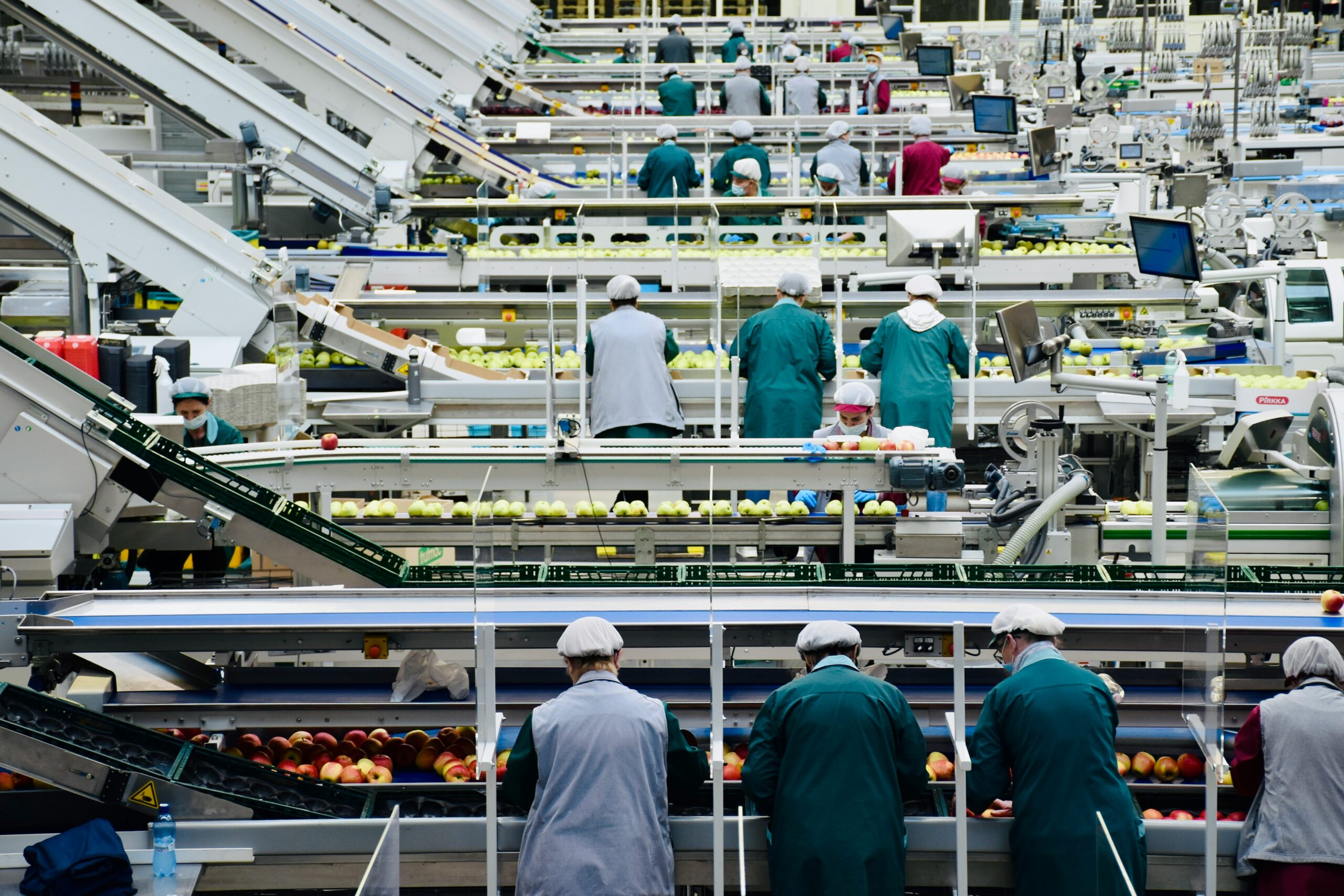 assemblyline3 workers in a processing plant